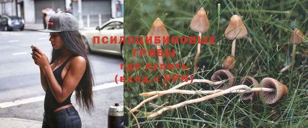марки nbome Абаза
